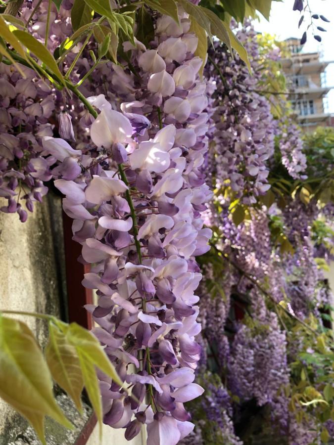 Casa Ganci Hotel ตูริน ภายนอก รูปภาพ